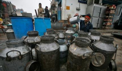 FTA: No duty cut by India on dairy, rice, wheat, pulses