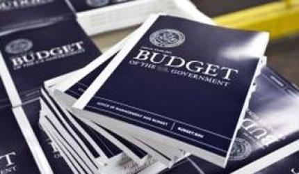 Budget: Here's what the industry leaders have to say