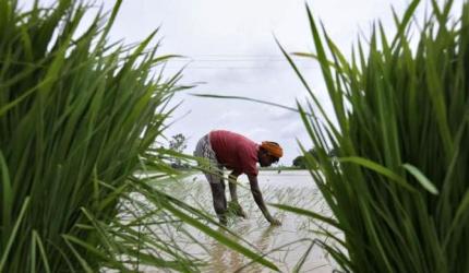 Father of Green Revolution on what Modi must do to revive farming