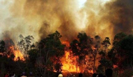 Fire at Jindal Poly Films Plant in Nashik: Firefighters Battling Blaze