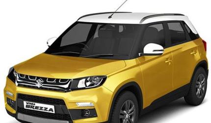 Maruti's market share has zoomed past global trends