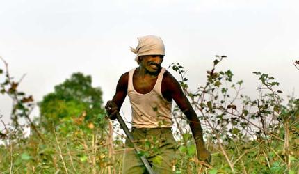 eNAM 2.0 Fixes Expected Mid-Jan: Agri Secy