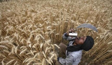 Chouhan Reviews Crop Damage from Rain