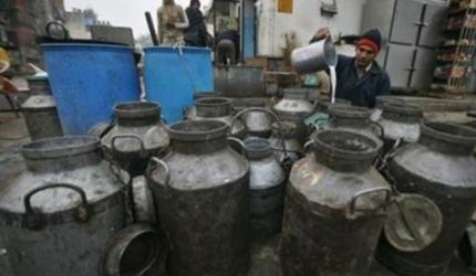 Haryana: Modernizing Animal Husbandry for Profit