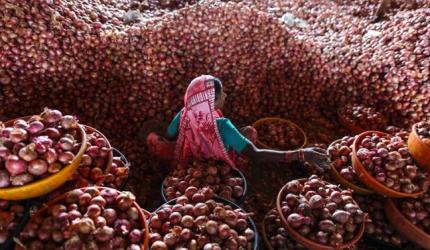 Onion Price Crash: Farmers Demand APMC Dissolution
