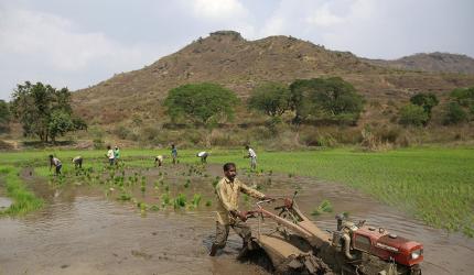 Incentives Needed for Non-Chemical Farming: Agri Secretary