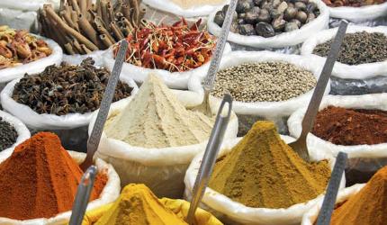Catch Spices Launches in Nepal