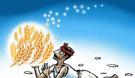Crackdown on Fake Fertilizers in India