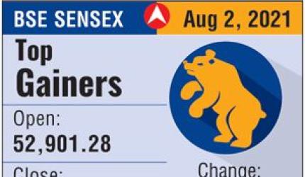 Stock Market Rally: Sensex, Nifty Gain Nearly 1%