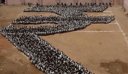 DRI Seizes Red Sanders Worth Rs 6.26 Cr, 4 Arrested