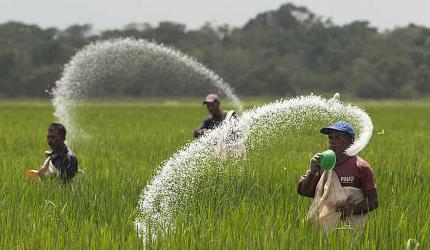 Telangana Urges Centre for Timely Urea Supply