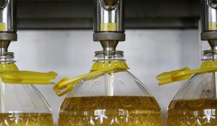 Edible Oil Industry: New Norms & Workshops