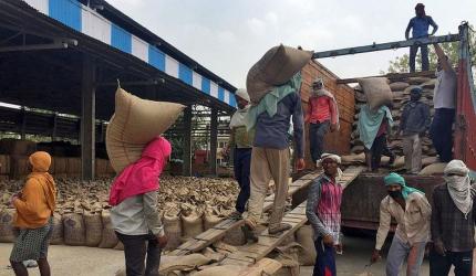 Wheat Flour Exports Permitted: 5 Lakh Tonnes