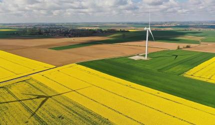 ESG Oversight Body to Combat Greenwashing