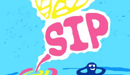 'The Best SIP For Long Term Investment?'