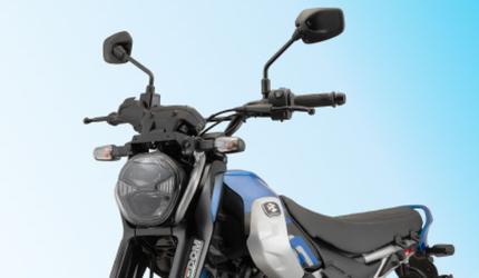 LML owner sues Bajaj Auto over 'Freedom' trademark