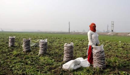 India's GDP grows 7.8% in Q1; highest in five quarters