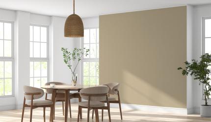 'India's paint market is highly local and competitive'