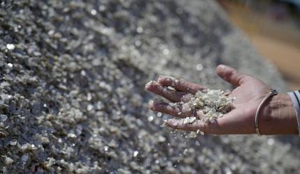Hope Rises As China Processes Rare-Earths Requests
