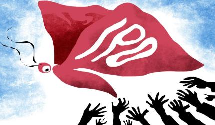 'Some IPOs Underperformed Due To...'