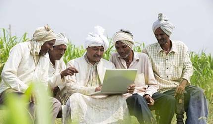 India's NCDEX eyes 20% stake in SL's commodity exchange