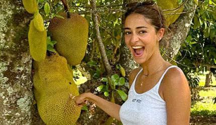 Ananya's Jackfruit Story