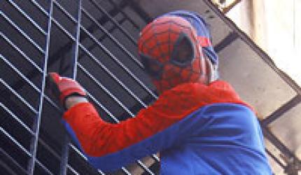 Look! It's Spiderman outside your window