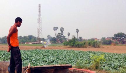 'The farmer is the most stubborn of men'