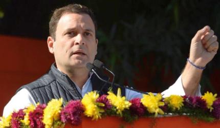 Rahul accepts 'people's verdict', says party fought anger with dignity