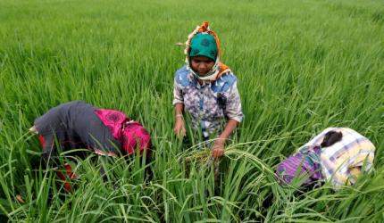 Budget: Bonanza for farmers & agriculture, Rs 10 lakh crore allocated