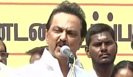 DMK protests against Jallikattu ban, Stalin slams PM