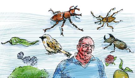Ruskin Bond's India