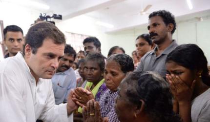 Rahul to contest from South where he leads Modi in polls