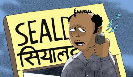 Sheena Bora Trial: The Willing Witness