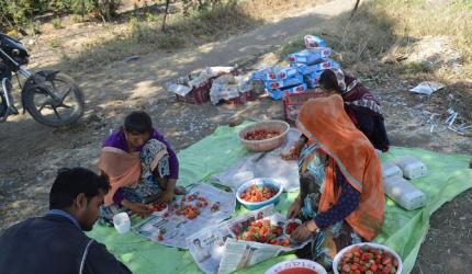 Agri Ministry Backs Organic & Natural Farming