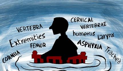 Sheena Bora Trial: Was Sheena strangled or not?