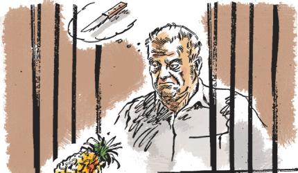 Sheena Bora Case: How will Peter eat fruit?