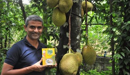 From Microsoft to Jackfruit 365!