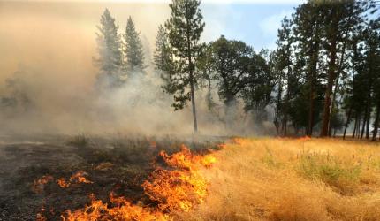 Navy, IAF deployed to fight Mhadei fires in Goa