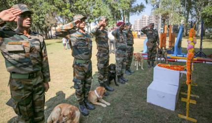 PHOTOS: Army pays tributes to braveheart dog 'Zoom'