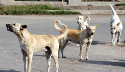 1 pm News Flash – December 10, 2025