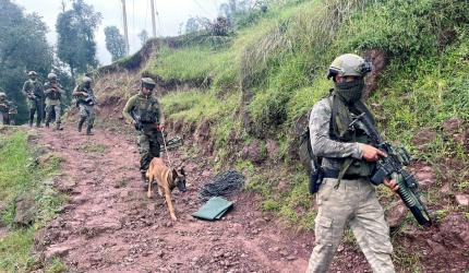 BSF foils infiltration in J-K's Kathua, guns down Pak intruder
