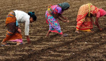 Notices to farmers on individual plea: Maha waqf chief