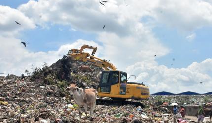 Kolkata: Severed human head found in garbage dump