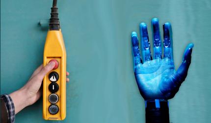 India's AI Strategy: A Balanced Regulatory Approach