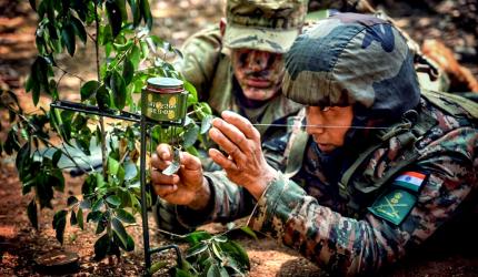 Indian, US Armies Exercise Tiger Triumph