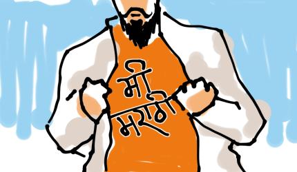 'Why Haven't Amitabh, Salman, SRK Learnt Marathi?'