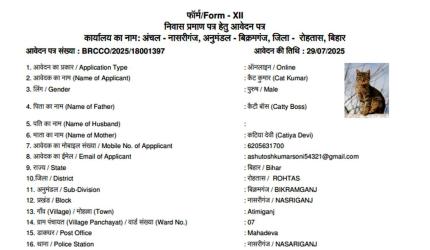 After 'Dog Babu', 'Cat Kumar' seeks Patna residence certificate