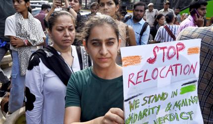 'Children are dying': SC reserves stray dogs order