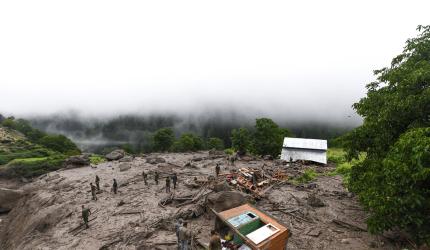 'Illegal felling of trees': SC takes note of landslides, floods